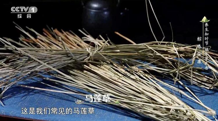 绿源广告女模特穿丝袜挂树杈 官方致歉：相关视频第一时间已下线